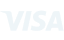 VISA-icon
